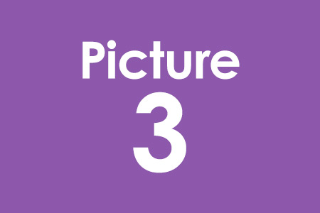 Story 1 Picture 3 Alt Text